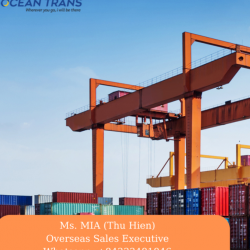 Ocean Trans Logistics